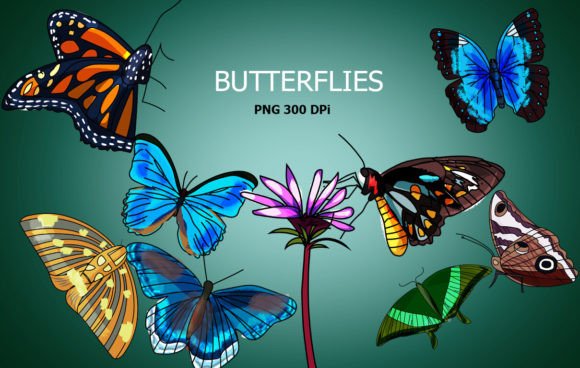 Download Butterflies Clip Art - Clip art Collection