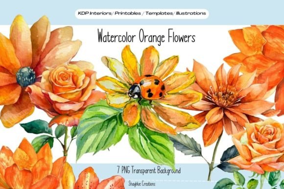 Download Watercolor Orange Flower Clip Art Bundle - Clip art Collection