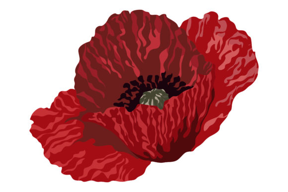 Download Beautiful Red Poppies #157 - Poppies Collection