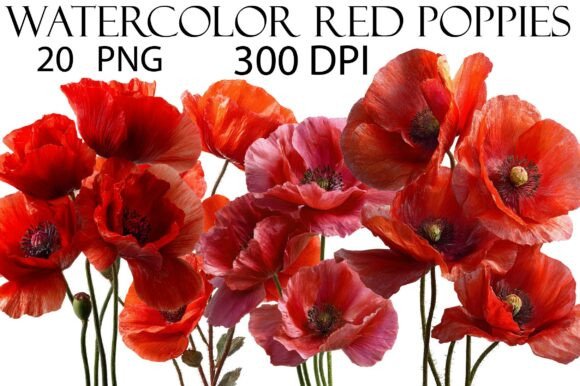 Download Watercolor Red Poppies Clipart - Poppies Collection