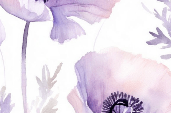 Download Soft Purple Poppies Watercolor Illustrat - Poppies Collection