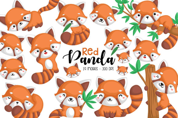 Download Red Panda Clipart - Cute Animal Clip Art - Clip art Collection