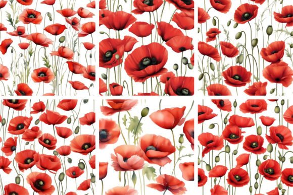 Download Red Poppies Watercolor - Poppies Collection