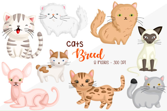 Download Cat Breed Clipart - Cute Animal Clip Art - Clip art Collection
