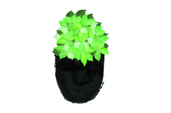 Download Potted Plant Watercolor - Potted plant watercolor Collection