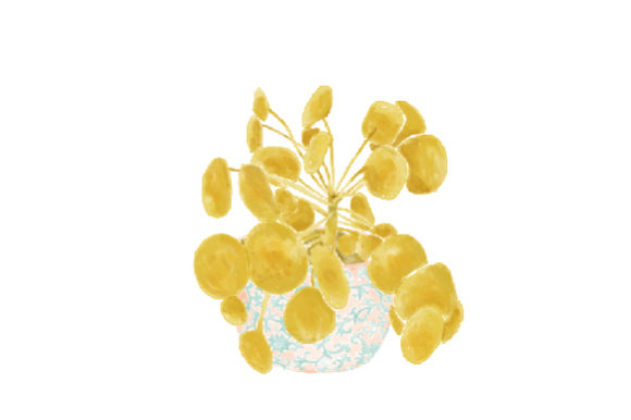 Download Potted Plant Watercolor - Potted plant watercolor Collection