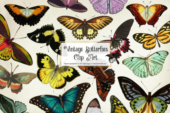 Download Vintage Butterflies Clip Art - Clip art Collection