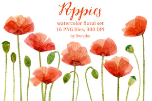 Download Watercolor Poppies - Poppies Collection