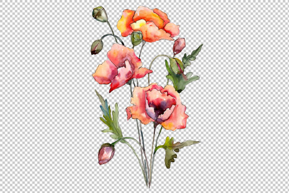 Download Bouquet of Red Poppies Watercolor Set - Poppies Collection