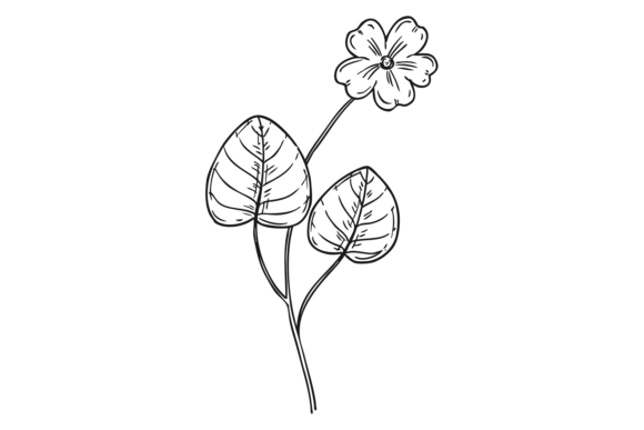 Download Violet Flower Drawing. WIld Meadow Plant - Violet flower Collection