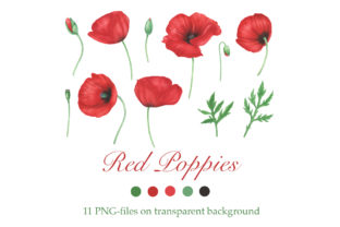 Download Red Poppies Flowers Clipart - Poppies Collection