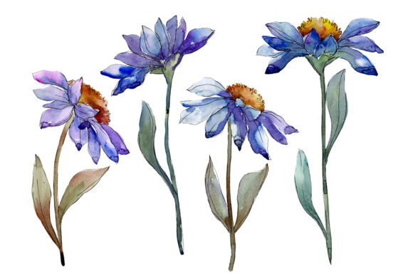 Download Bouquet Blue of Asters and Daisies Watercolor PNG - Daisies watercolor Collection
