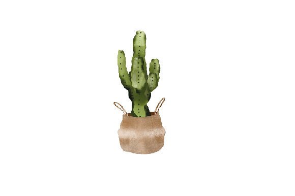 Download Potted Plant Watercolor - Potted plant watercolor Collection