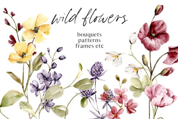 Download Wild Flowers, Poppies Watercolor Set - Poppies Collection