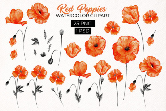 Download Red Poppies Floral Design Elements - Poppies Collection