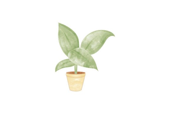 Download Potted Plant Watercolor - Potted plant watercolor Collection