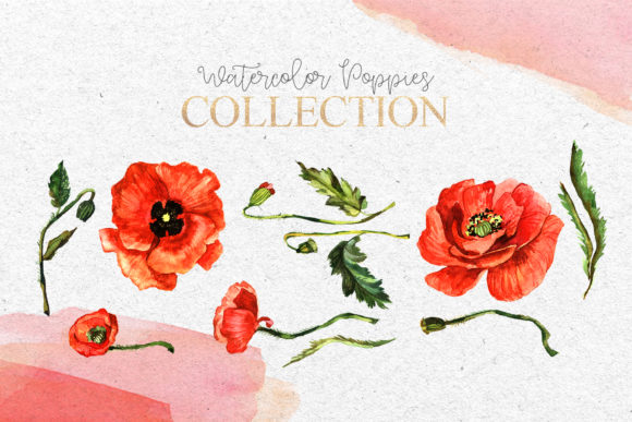 Download Red Poppies Flowers Clipart Watercolor - Poppies Collection