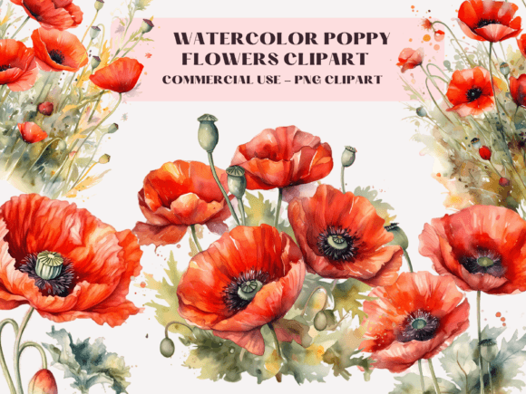 Download Watercolor Poppies Clipart - Poppies Collection